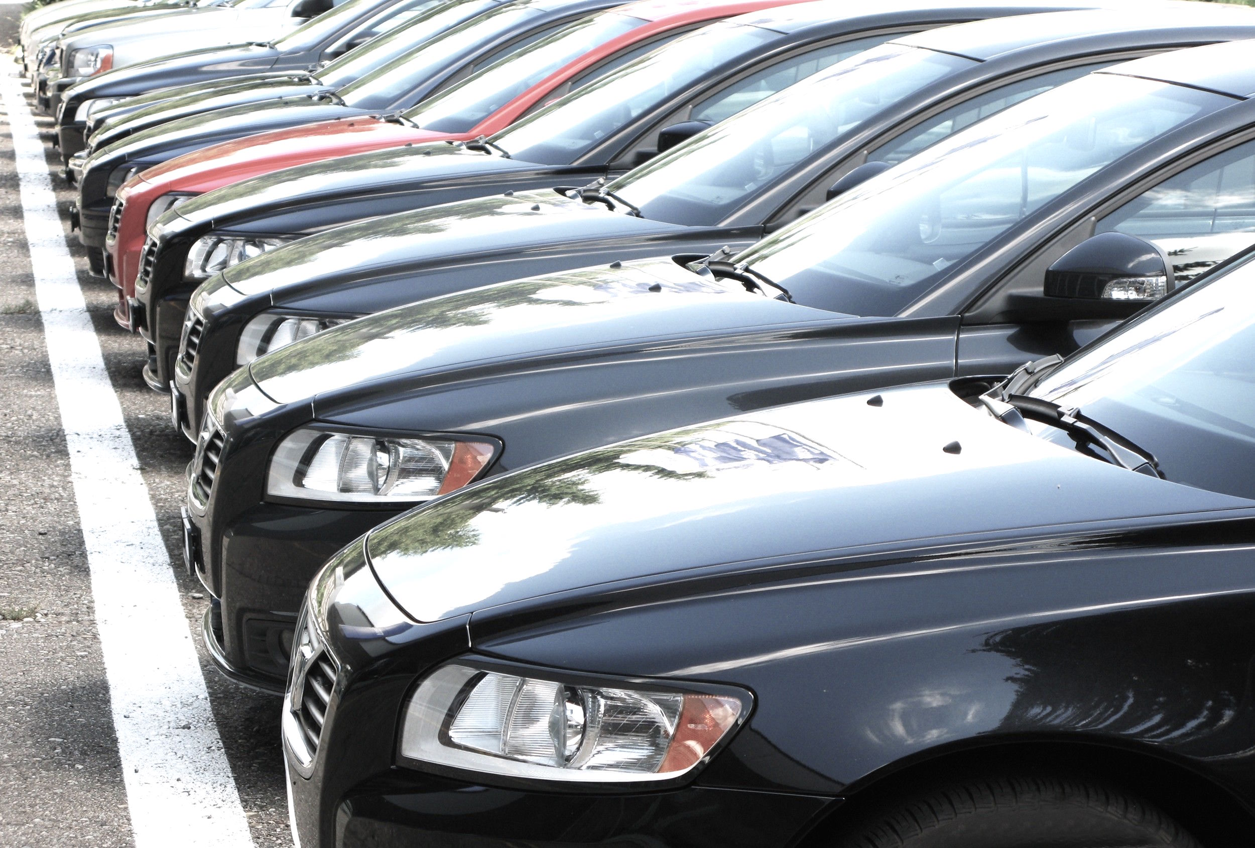 Car Rental